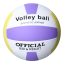 Мяч волейбольный (Volley ball) (размер 5)