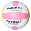 Мяч волейбольный (Volley ball) (размер 5)